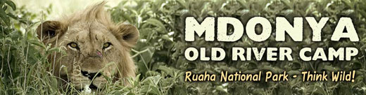 VISIT THE MDONYA OLD RIVER CAMP